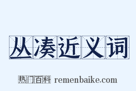 丛凑近义词是什么意思的图片